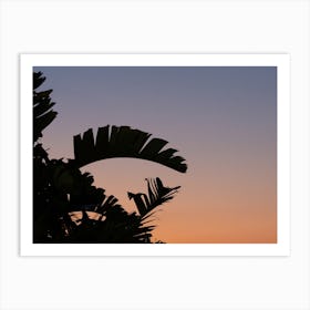 Palm tree at sunset | Purple and orange | Mediterranean summers Art Print