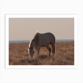 Wild Horse Scenery Art Print