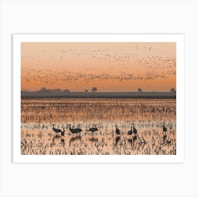 Sandhill Crane Sunrise Art Print