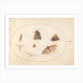 Seven Moths (c. 1575-1580), Joris Hoefnagel Art Print