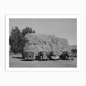 Haystack And Automobile Of Peach Pickers, Delta County, Colorado By Russell Lee Art Print