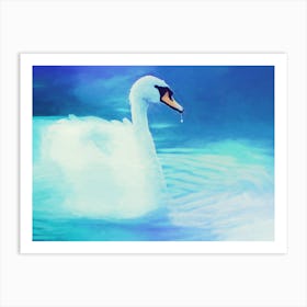 Swan In Water 1 Art Print