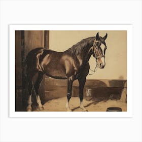 Horse In A Stable Art Print