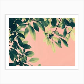 Pink Leaves On A Pink Background 1 Art Print