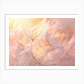 Dandelion In The Sunlight Art Print