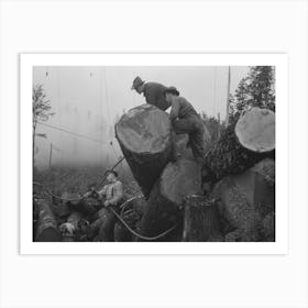 The Choker Puts Choker Loop On Log For Transporting From Woods To Yard By Means Of Donkey Engine, Cables And Art Print
