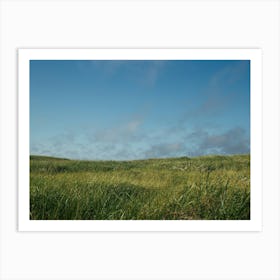 Grassy Field Art Print