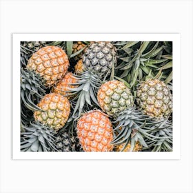 Pineapple Art Print