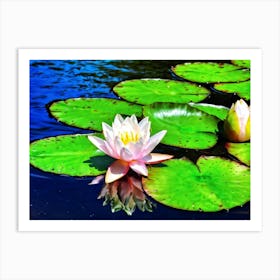 A Single White Lotus Flower Resting On A Tranquil Duck Pond Beneath A Radiant Summer Sun Petals Ge Art Print