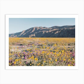 California Desert Wildflowers Art Print
