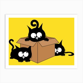 Black Cats In A Box Art Print