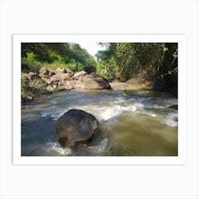 River Nature Art Print