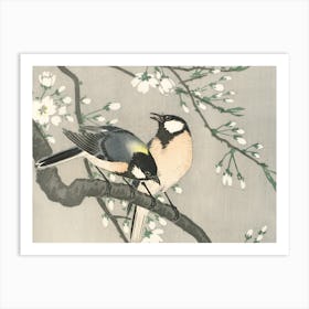 Tits on Cherry Branch Art Print