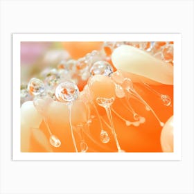 Water Droplets On A Flower Art Print