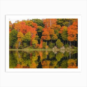 Autumn Trees Reflected In A Lake 1 Art Print