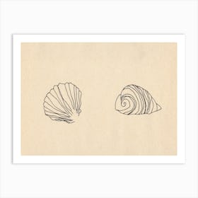 Seashells Art Print