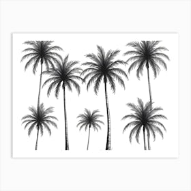 Silhouettes Of Palm Trees On White Background Art Print