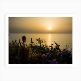 Serene Golden Sunset Over The Sea With The Wild Flowers Art Print