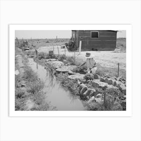 Garden By Irrigation Ditch And Home Of The Browning Family, Fsa (Farm Security Administration) Rehabilitation Borrowers Art Print