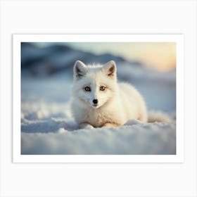 Arctic Fox 2 Art Print