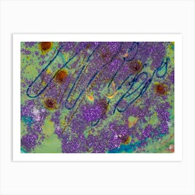 Purple And Green Art Print