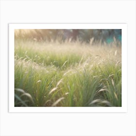 A Field Of Tall, Feathery Grass In The Soft Light Of Sunset Art Print