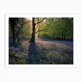 Purple Flower Floor Art Print