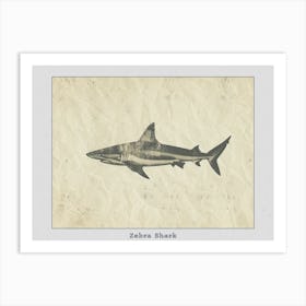 Zebra Shark Silhouette 4 Poster Art Print