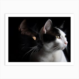 Picture Of Two Cats 2 1 4x3 Art Print