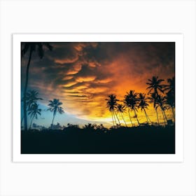 Sunset Over Palm Trees Art Print