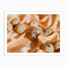 Quail Eggs 32 Art Print