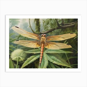 Dragonfly Wandering Gilder Minimalistic 1 Art Print