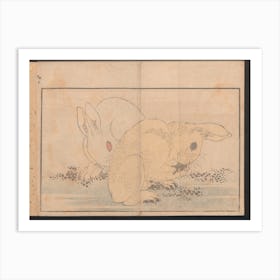 Rabbitt, Katsushika Hokusai Art Print