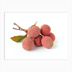 Lychee Fruit Art Print