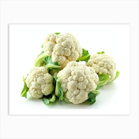 Cauliflower 16 Art Print