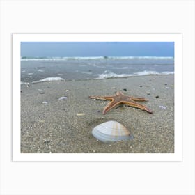 Starfish On The Beach Art Print