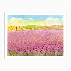 Lavender Field Art Print