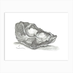 Oyster Shell in pencil Art Print