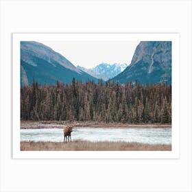 Winter River Runoff Elk Art Print