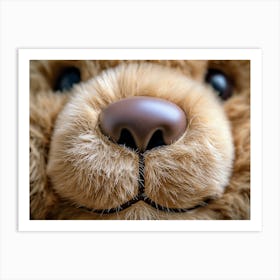 Close Up Of A Teddy Bear nose Art Print