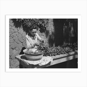 Untitled Photo, Possibly Related To Spanish Boy Stringing Chili Peppers For Drying, Concho, Arizona By Russell Lee Art Print