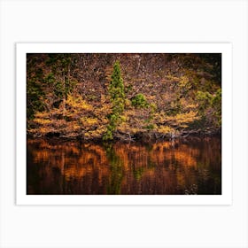 Autum Lake Art Print