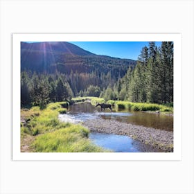 Moose In A Stream Art Print