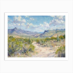 Western Landscapes Chihuahuan Desert Texas 4 Art Print