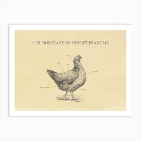 French Chicken Butcher Chart Art Print