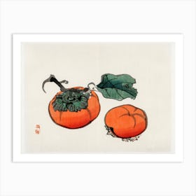 Persimmons, Kōno Bairei Art Print