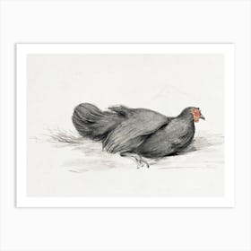 Black Chicken (1775–1833), Jean Bernard Art Print