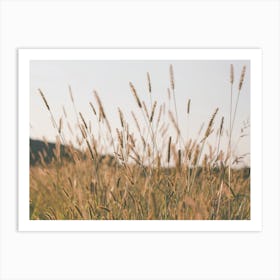 Farmhouse Field Art Print