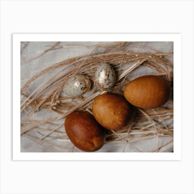 Eggs In A Nest 2 Art Print