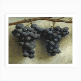 Grapes On A Branch Art Print